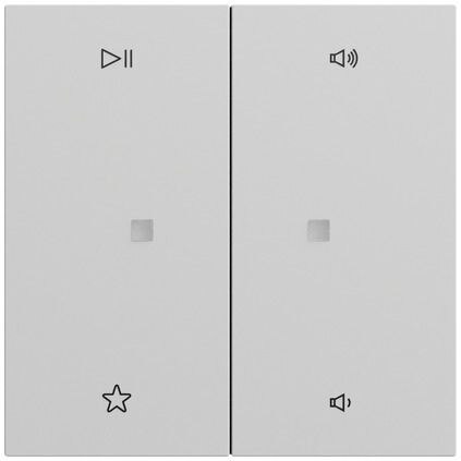 Gira Bedienelement 2-fach grau matt 538476