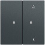 Gira Bedienelement 2-fach anthrazit 538173 für Jalousieeins