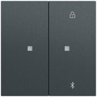 Gira Bedienelement 2-fach anthrazit 538173 für Jalousieeins