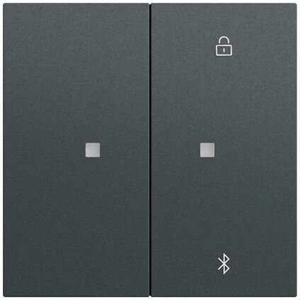 Gira Bedienelement 2-fach anthrazit 538173 für Jalousieeins