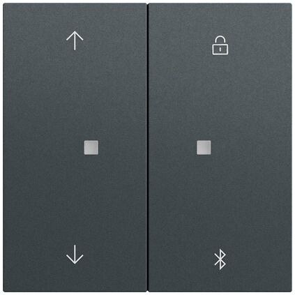 Gira Bedienelement 1-fach anthrazit 536773 für Jalousieeins
