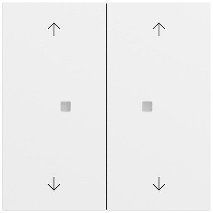 Gira Gira Tastwippe Bussystem KNX-RF (Funk) 510872 reinweiß matt Kunststoff Thermopl 2-fach