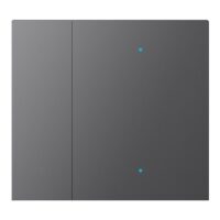 WALTZ Wippenset für Tastsensor+ Aluminium Anthr 1-fach bei Gravur nur LED durchscheinend