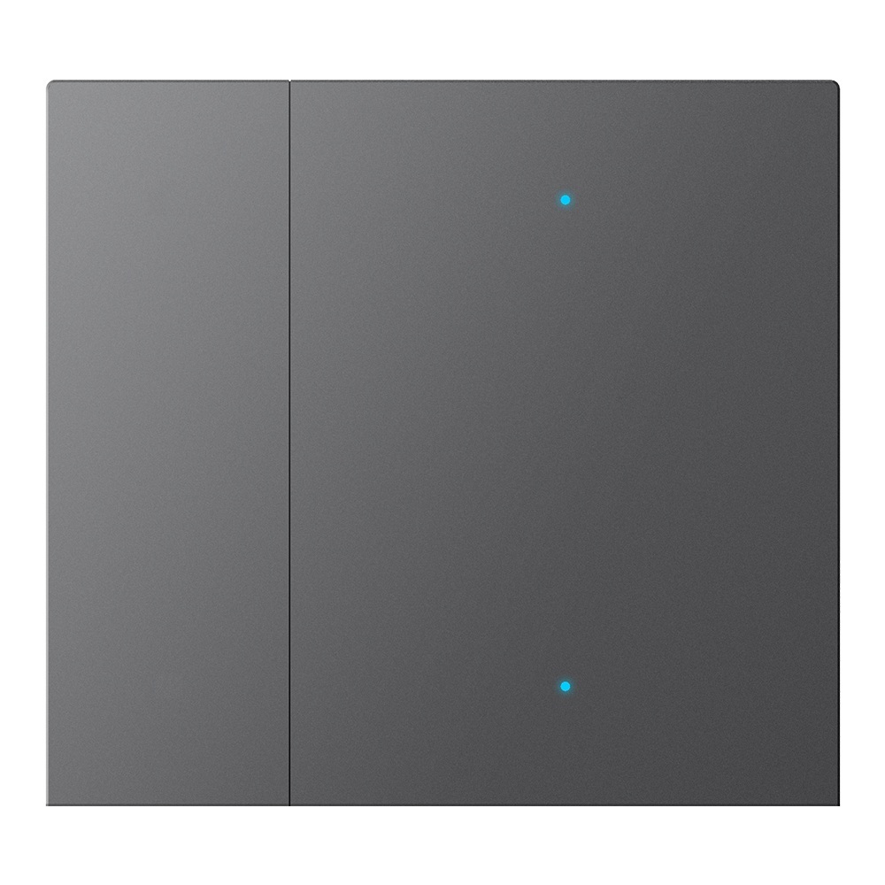 GVS WALTZ Wippenset für Tastsensor+ Aluminium Anthr 1-fach bei Gravur nur LED durchscheinend
