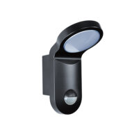 ESYLUX LED-Strahler 5000K, schwarz AOLWL100OP900850MDBK