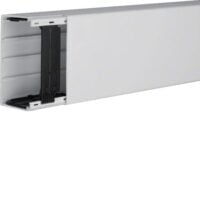 HAGER Leitungsführungskanal Kunststoff lgr LF6011007035 60x110x2000mm RAL7035