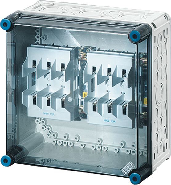 Hensel HENSEL Sicherungsgehäuse 125A IP65 NH00 Mi 4250 uni Kunststoff mit transpDeckel AnbMögl