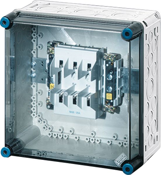 Hensel HENSEL Sicherungsgehäuse 125A IP65 NH00 Mi 4205 uni Kunststoff mit transpDeckel AnbMögl