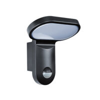 ESYLUX LED-Strahler 5000K, schwarz AOLWL200OP1700850MDB