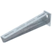 Bild vom Produkt: BETTERMANN Wand/Stielausleger 310mm ST AW 30-Serie AW 30 31 FT 3000N