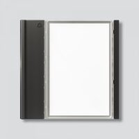 SIEDLE Ruftastenmodul Bus 1RT dgr TM 700-1-0 DG 99x99x26mm