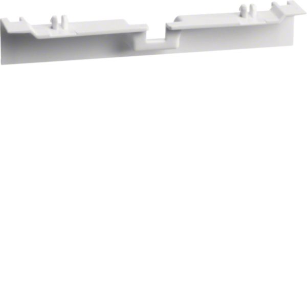 HAGER Geräteträger SL-K ver-weiß 55x20mm SL20055A9016 hfr