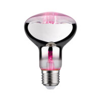 PAULMANN LED-Reflektorlampe FM E27 R80 287.33 R80 6,5W rose 200lm kl 60° AC