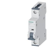 Siemens Dig Industr. LS-Schalter AC/DC C2A,1-polig, T=70,10kA 5SY5102-7