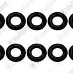 VA O-Ring, (x10)