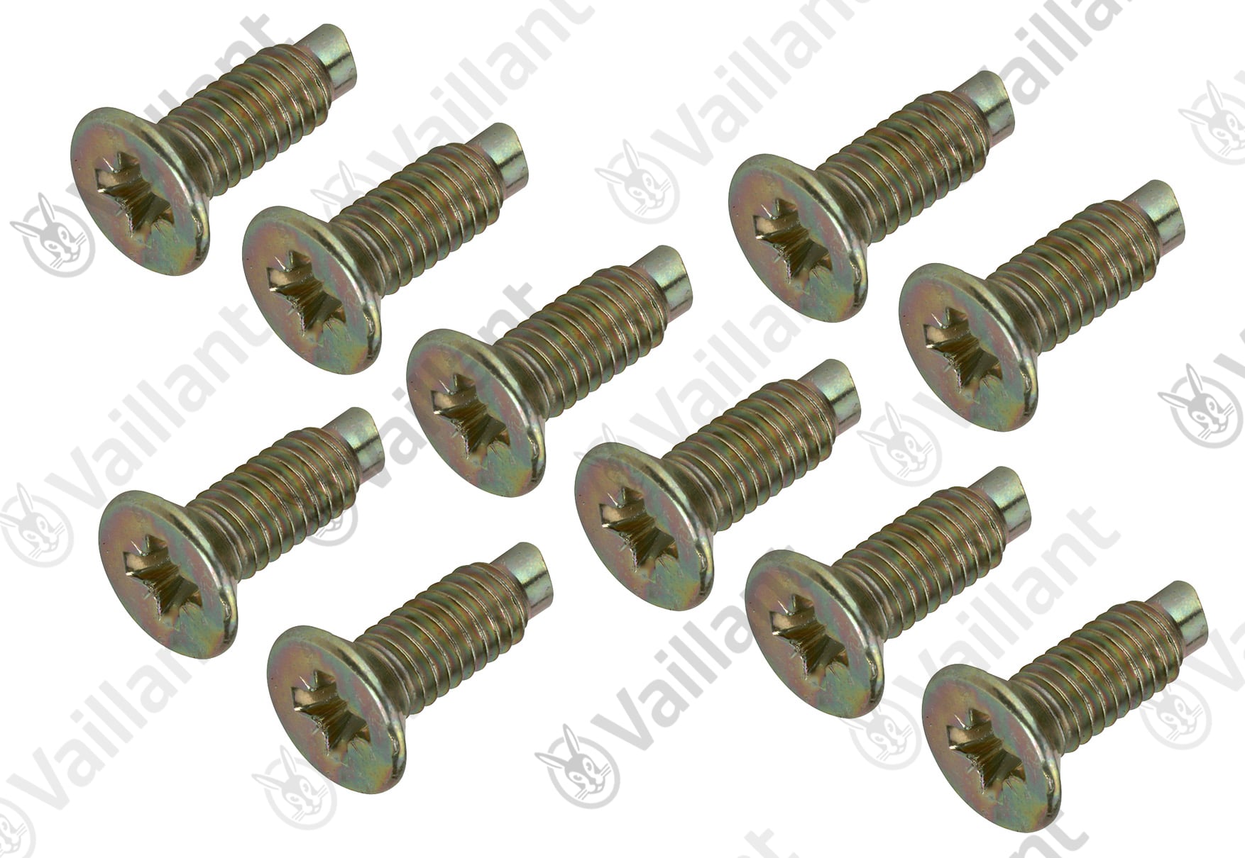 Vaillant Schraube, (x10) Vaillant-Nr. 0020107716