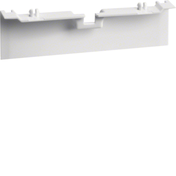 HAGER Geräteträger SL-K ver-weiß 80x20mm SL20080A9016 hfr