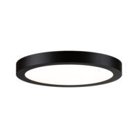 PAULMANN LED-Panel Ø300mm 24W 2700K schwarz Abia 709.84 2200lm Konverter