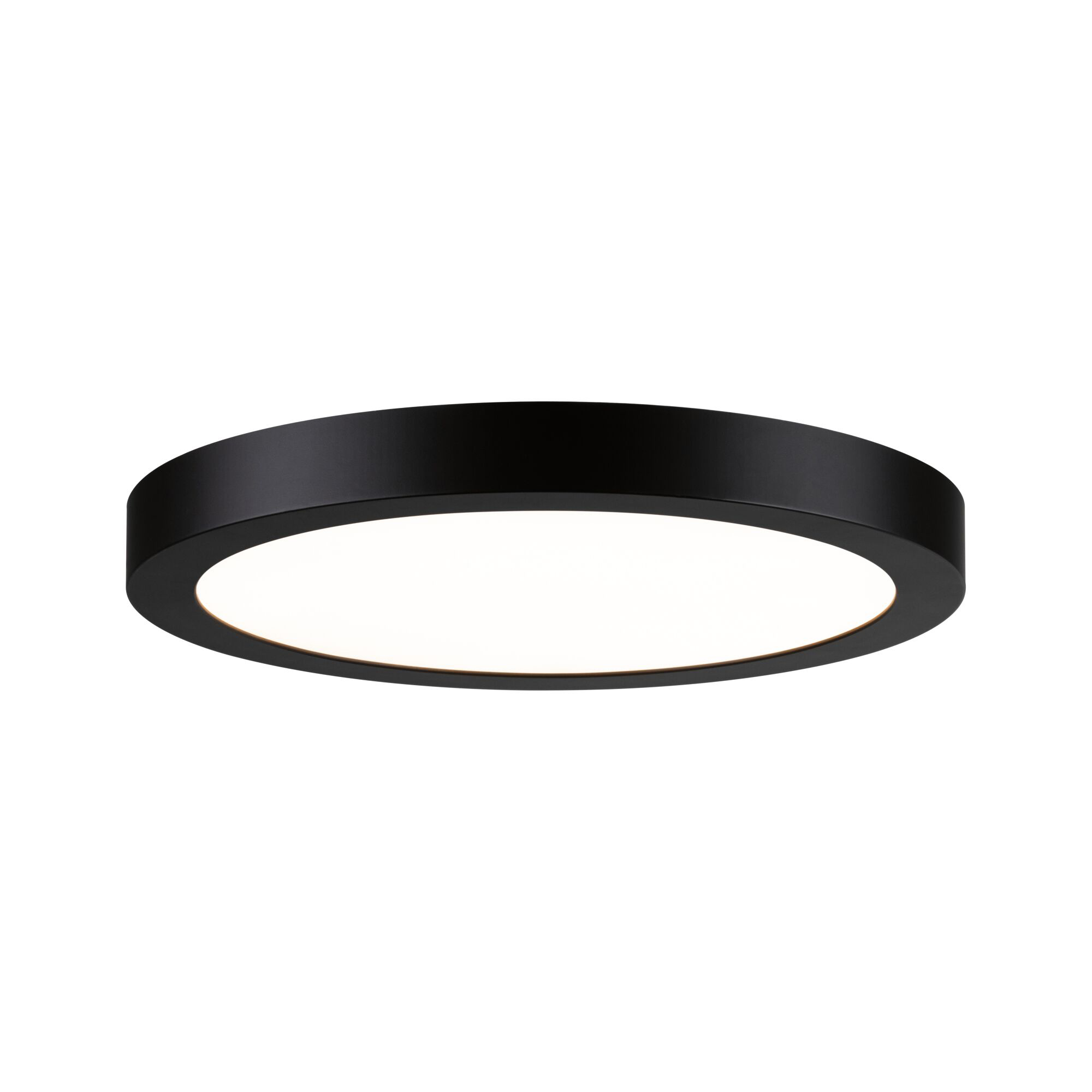 Paulmann PAULMANN LED-Panel Ø300mm 24W 2700K schwarz Abia 709.84 2200lm Konverter