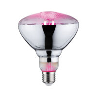 PAULMANN LED-Reflektorlampe FM E27 PAR38 287.37 PAR38 6,5W rose 200lm kl 115° AC