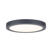 PAULMANN LED-Panel Ø300mm 24W 2700K grau Abia 709.88 2200lm Konverter