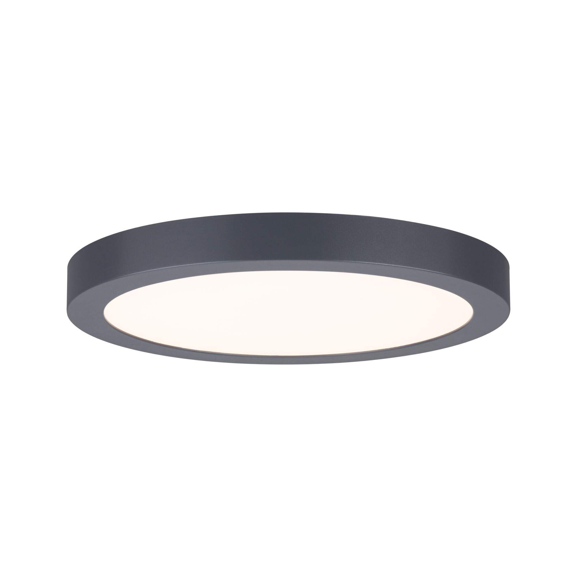 Paulmann PAULMANN LED-Panel Ø300mm 24W 2700K grau Abia 709.88 2200lm Konverter