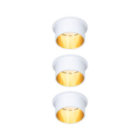 PAULMANN LED-Einbaustrahler 18W Konverter weiß Gil Coin 933.81 3LEDs 2700K weiß 470lm weiß