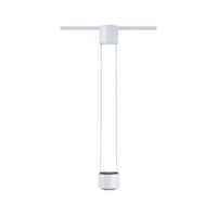 PAULMANN LED-Pendelleuchte 1LED 2700K Aldan 949.71 820lm Konverter sym IP20