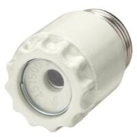 Siemens Dig Industr. Diazed-Schraubkappe 63A DIII 500V 5SH113