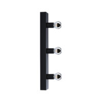 PAULMANN LED-Spiegelleuchte 40W schwarz Regula 800.97
