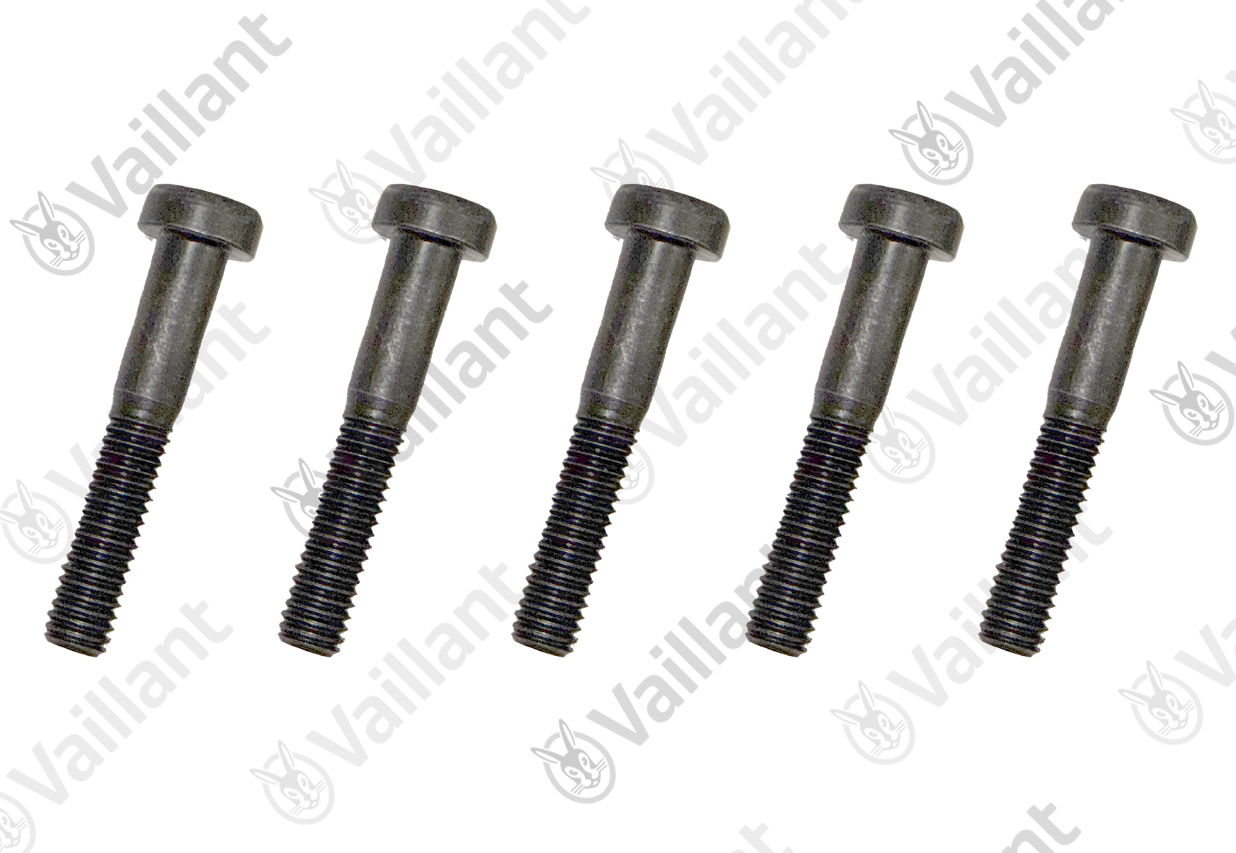 VAILLANT Schraube, (x5) Vaillant-Nr. 8000043713