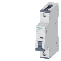 Siemens Dig Industr. LS-Schalter 10KA,1p, D,10A, T=70mm 5SY4110-8