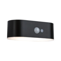 PAULMANN LED-Solarleuchte 2,5W 3000K schwarz Adya 945.71 200lm Konverter