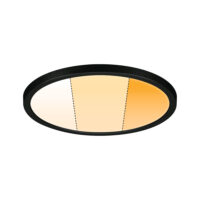 PAULMANN LED-Panel Ø230mm 18W 2000-4000K Areo VariFit 931.02 1500lm schwarz Konverter