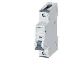 Siemens Dig Industr. LS-Schalter B2A,1-polig, T=70,6kA 5SY6102-6