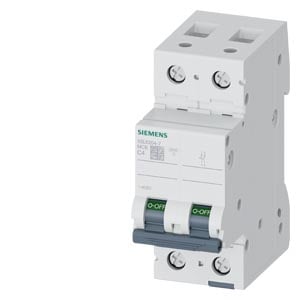 Siemens Siemens Dig Industr. LS-Schalter C4A, 2-polig 5SL6204-7