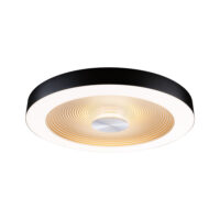 PAULMANN LED-Deckenanbauleuchte 25W Konverter 711.80 3000K 1300lm schwarz/weiß