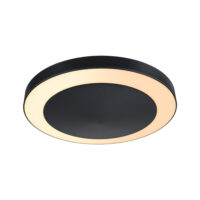 PAULMANN LED-Deckenanbauleuchte 15W anthrazit Circula 945.25 2200-3000K 880lm Konverter