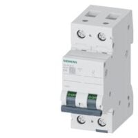 Siemens Dig Industr. LS-Schalter B16A, 2-polig 5SL6216-6