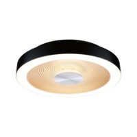 PAULMANN LED-Deckenanbauleuchte 18W Konverter 711.78 3000K 950lm schwarz/weiß