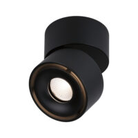 PAULMANN LED-Anbaustrahler 10W Konverter 1LED Spircle 933.71 schwarz 3000K weiß 550lm schwarz matt