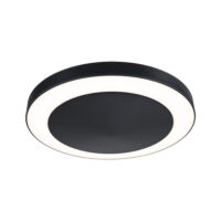 PAULMANN LED-Deckenanbauleuchte 15W anthrazit Circula 945.26 3000K 880lm Konverter