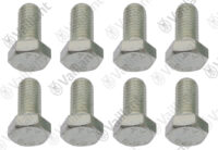 Schraube, (x8) Vaillant-Nr. 0020214431