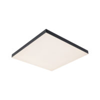 PAULMANN LED-Panel 64x450mm 24W 1690lm Velora 799.08 3000-6500K schwarz Konverter