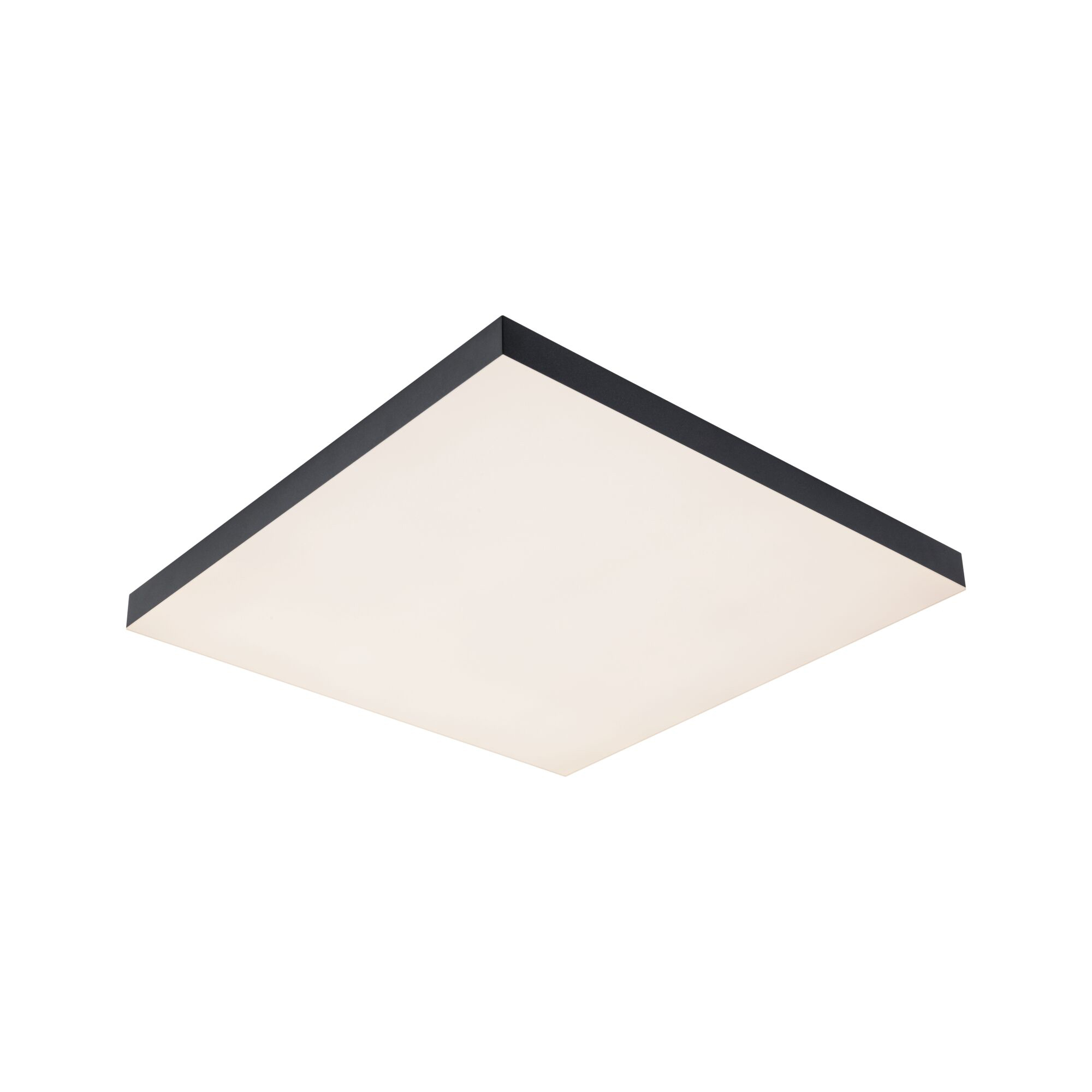 Paulmann PAULMANN LED-Panel 64x450mm 24W 1690lm Velora 799.08 3000-6500K schwarz Konverter