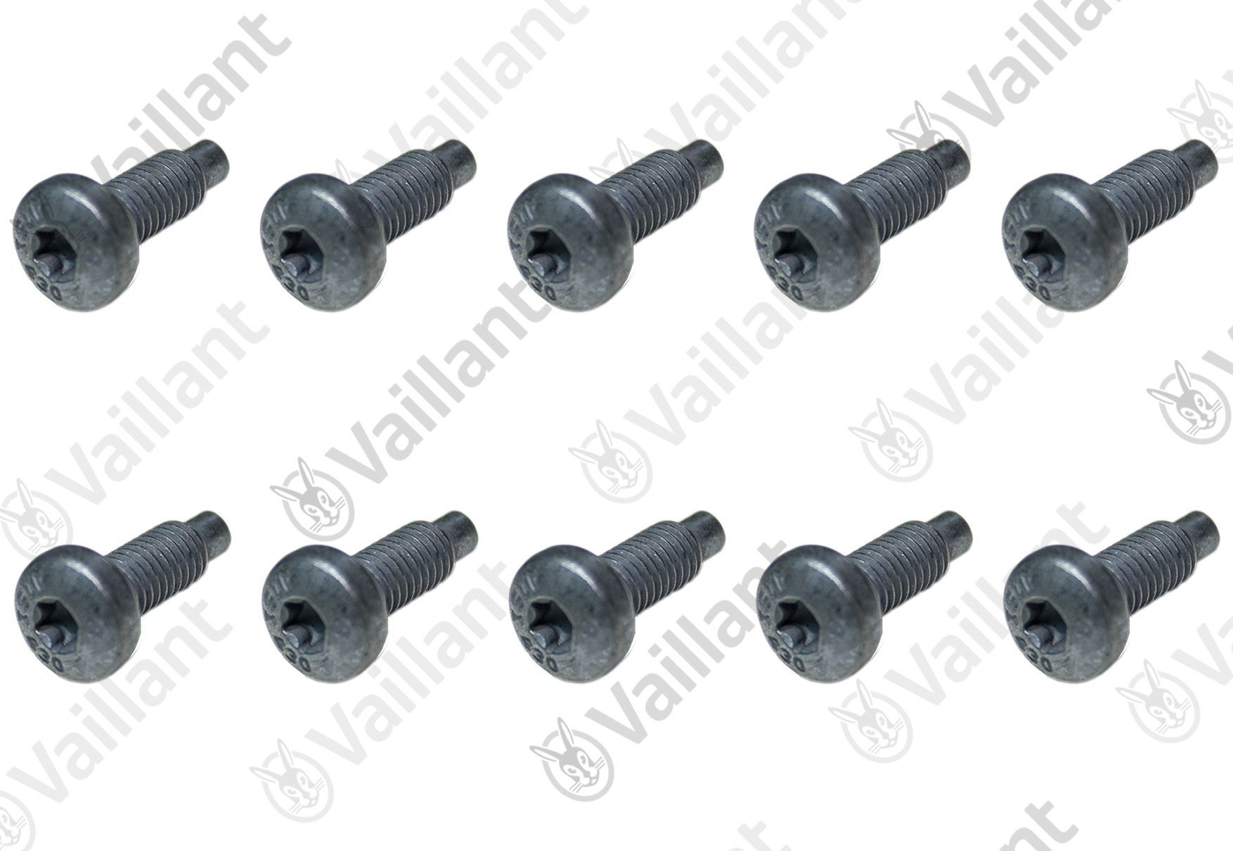 Schraube, (x10) Vaillant-Nr. 0020175810