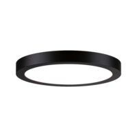 PAULMANN LED-Panel Ø300mm 24W 4000K schwarz Abia 710.25 2200lm Konverter