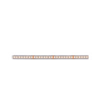 PAULMANN LED-Lichtband 7,2W/m weiß 2700K 712.45 128Stk/m IP20 DC 24V