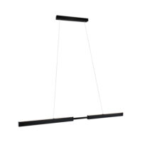 PAULMANN LED-Pendelleuchte 1LED 2700K schwarz 769.89 2280lm sym IP20