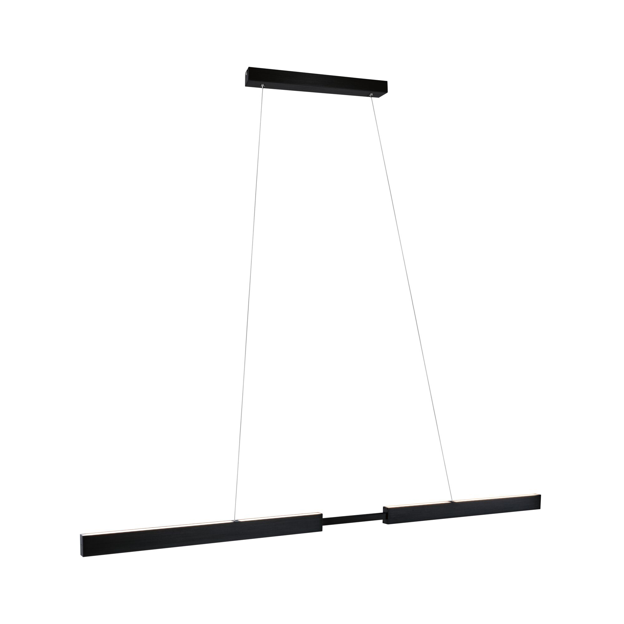 Paulmann PAULMANN LED-Pendelleuchte 1LED 2700K schwarz 769.89 2280lm sym IP20